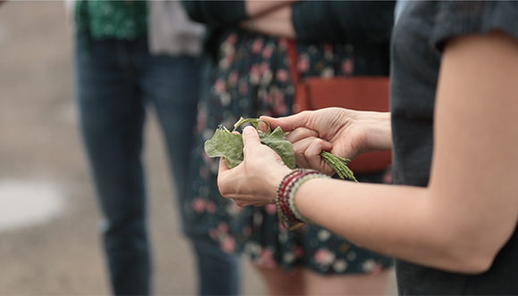 Les techniques naturelles Les techniques naturelles