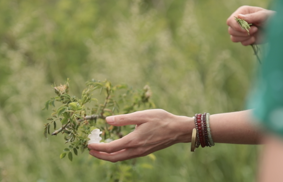 bases de la naturopathie