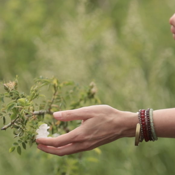 bases de la naturopathie